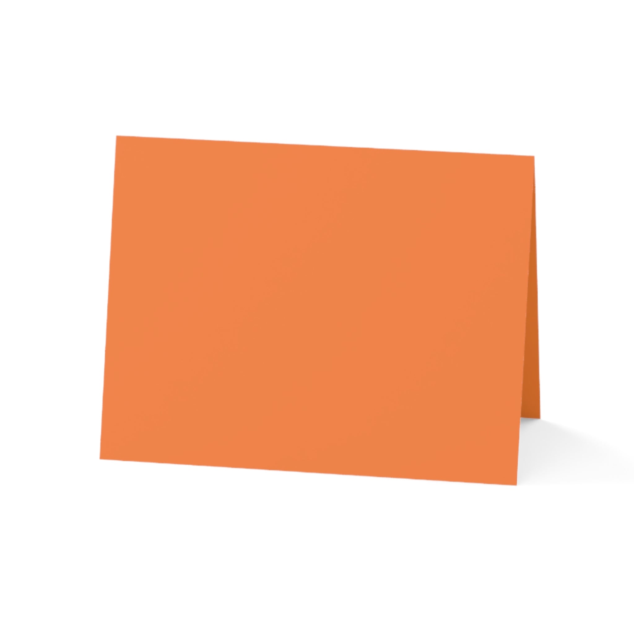 Cornucopia Thanksgiving Greeting Cards painted by Studio Blitz