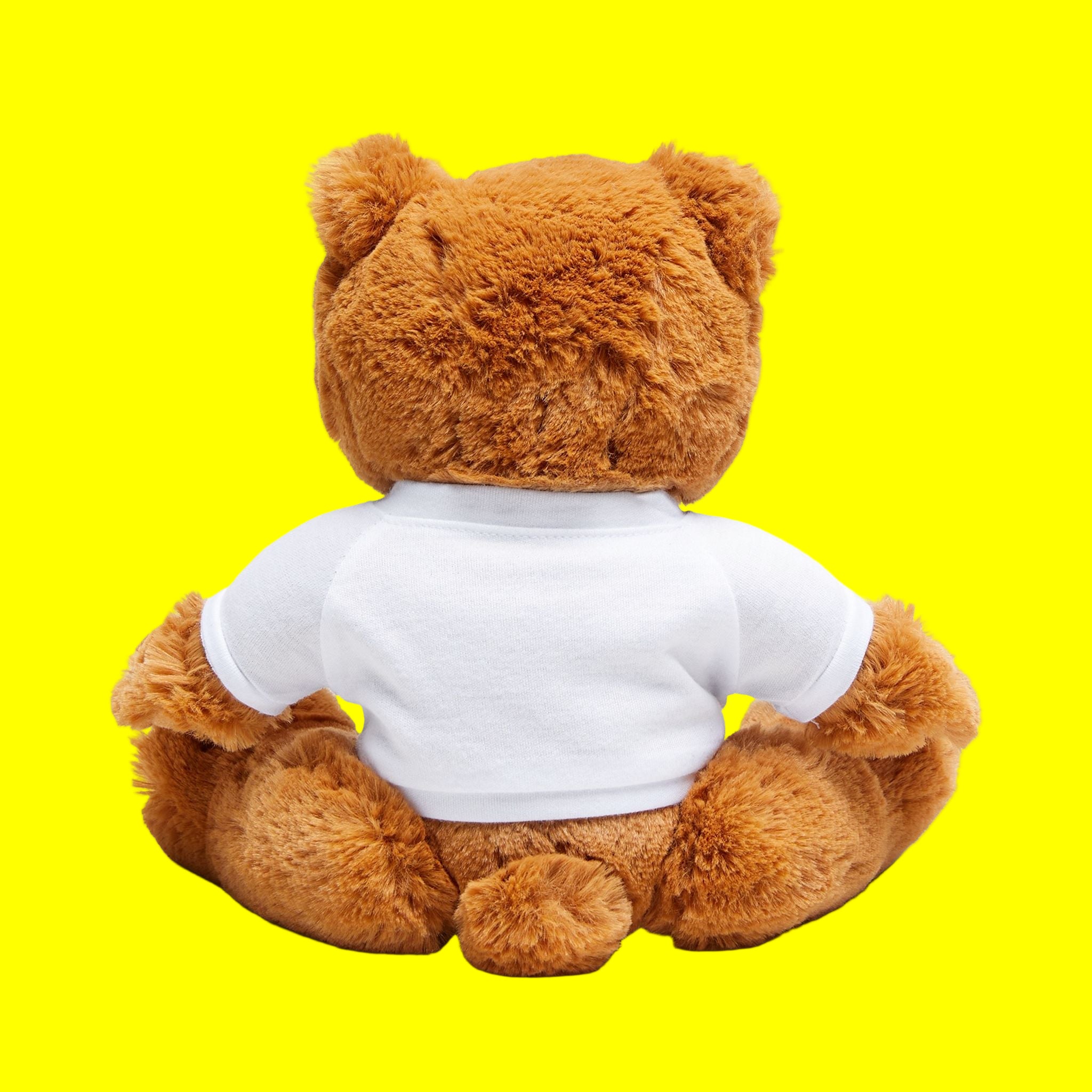 Brown teddy bear wearing a white shirt on a white background
