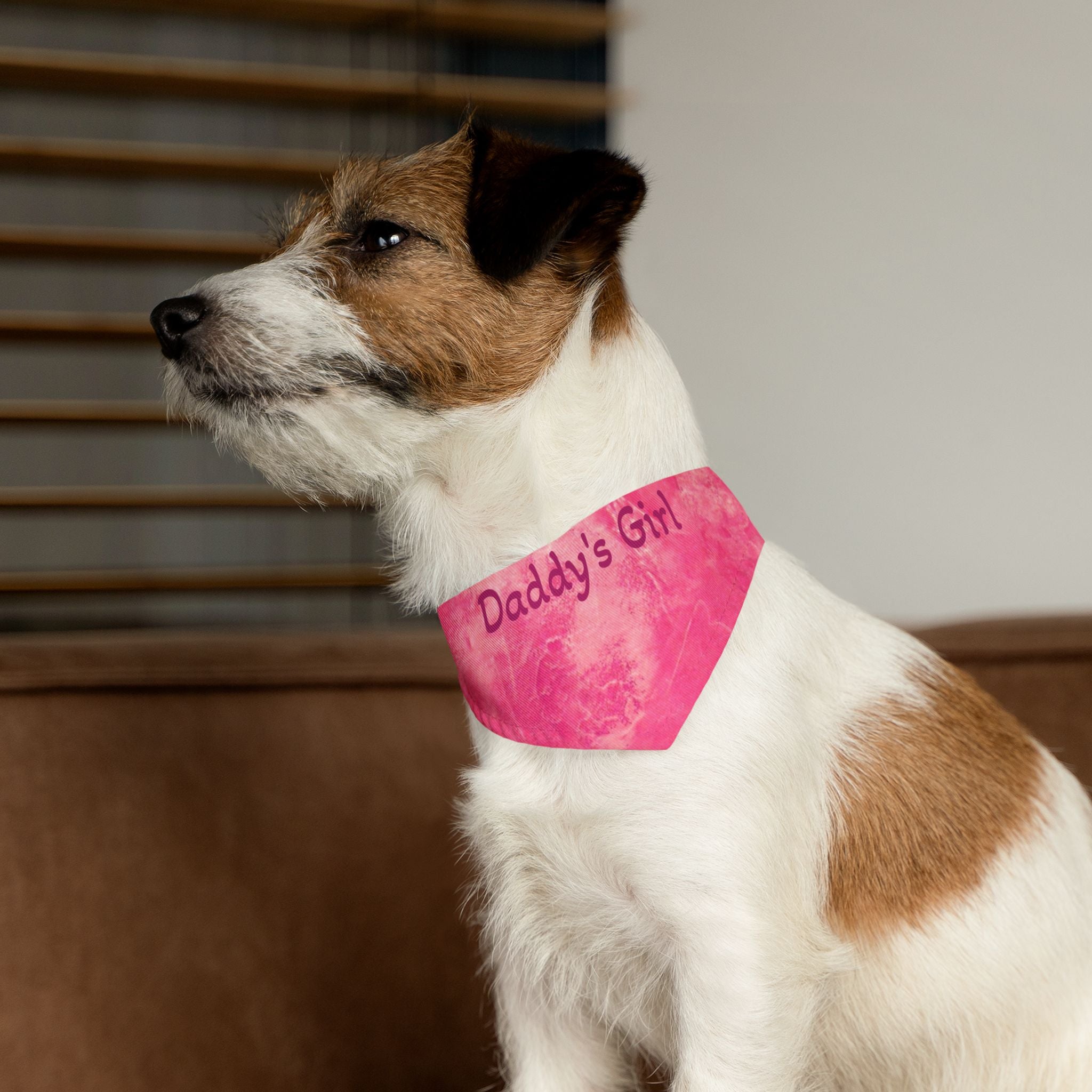 Dog wearing a pink bandana with 'Daddy's Girl' text, sitting indoors.