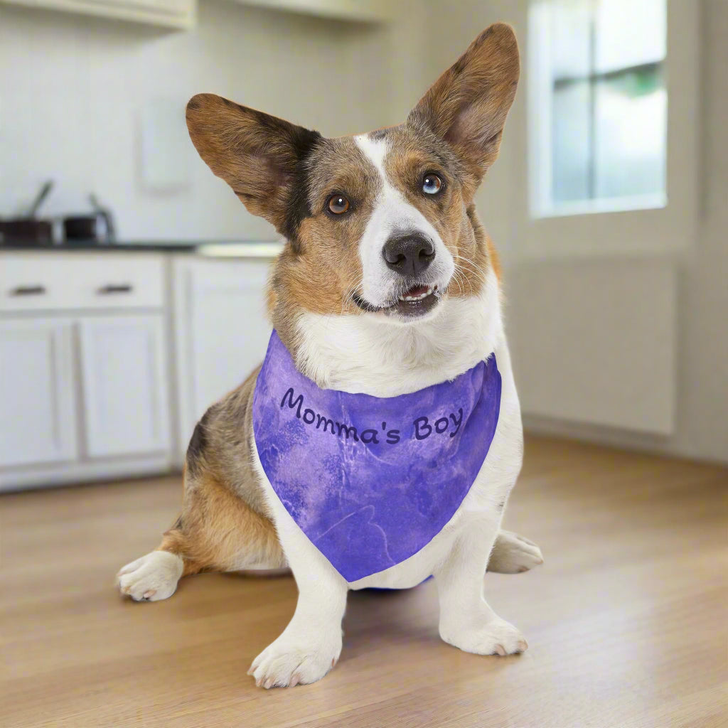 Dog wearing a blue bandana with 'Momma's Boy' text sitting in the kitchen