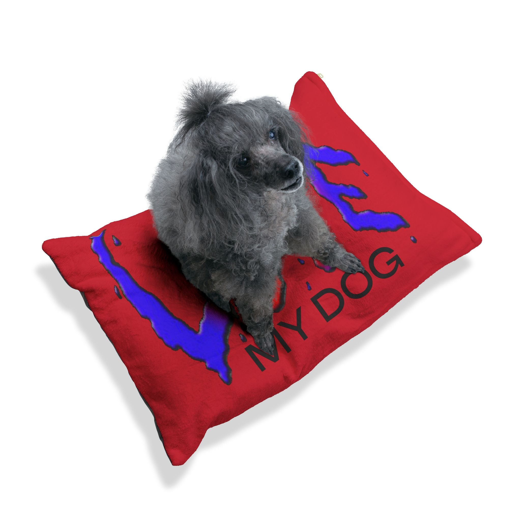 Vibrant Red Dog Bed -  Comfy with LOVE Art Design by Studio Blitz