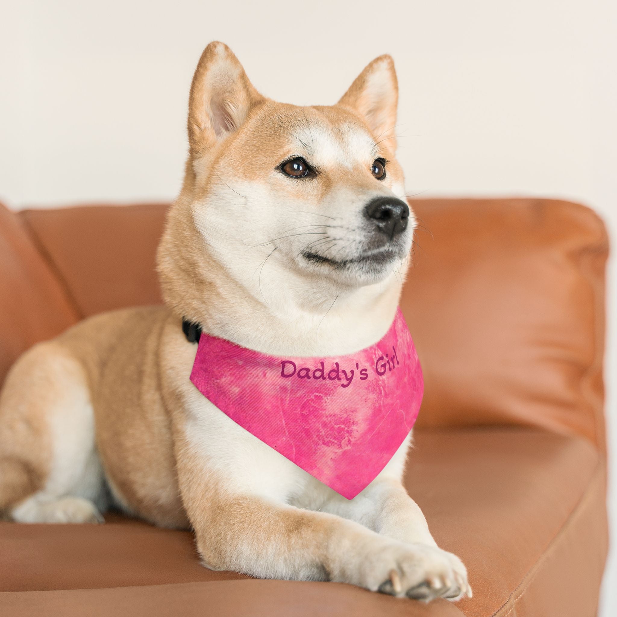 Dog wearing a pink bandana with 'Daddy's Girl' text on a brown couch.
