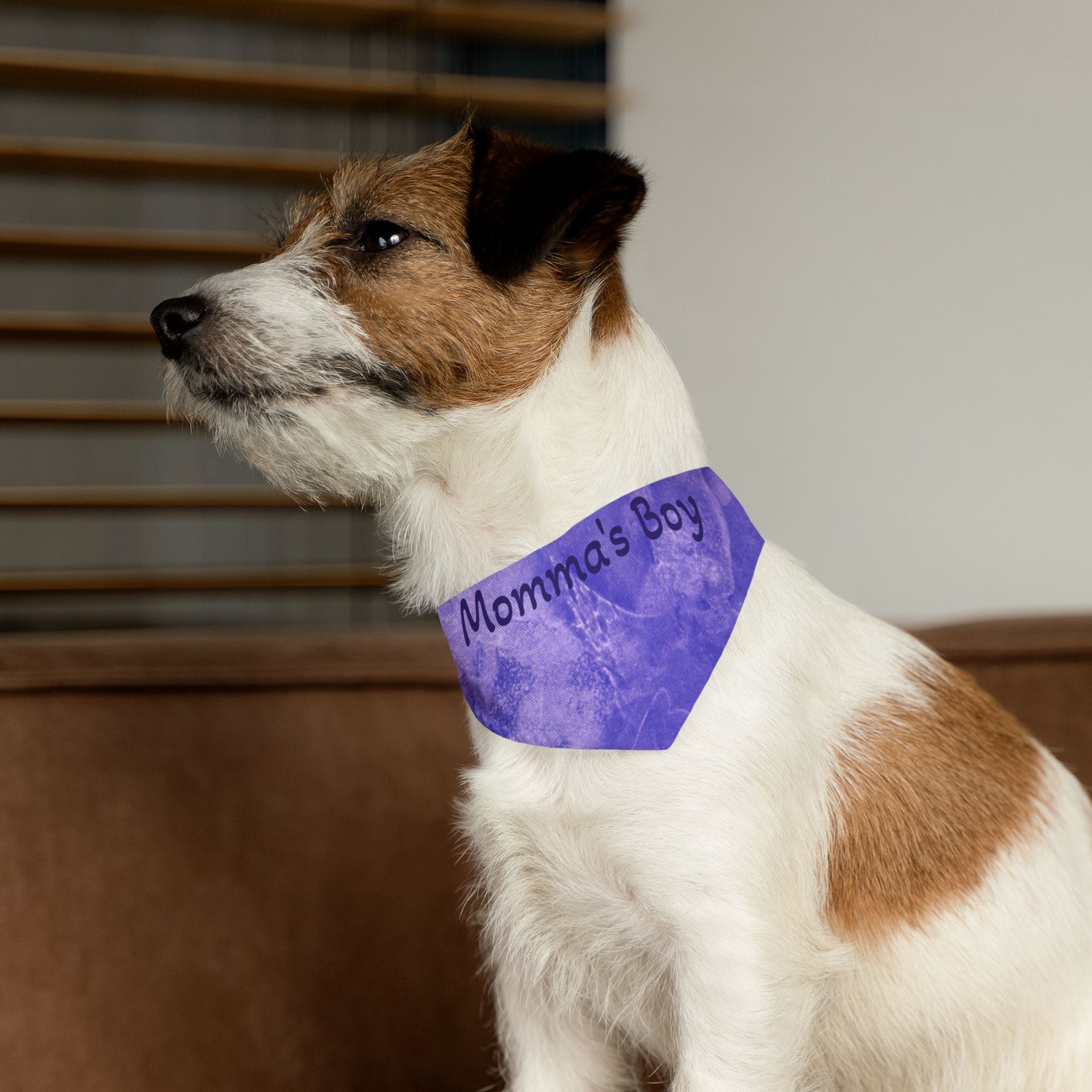 Dog wearing a blue bandana with 'Momma's Boy' text, sitting indoors.