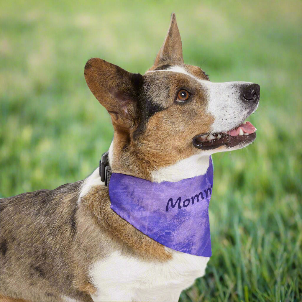 Dog wearing a purple bandana with 'Mommy' printed on it  in yard
